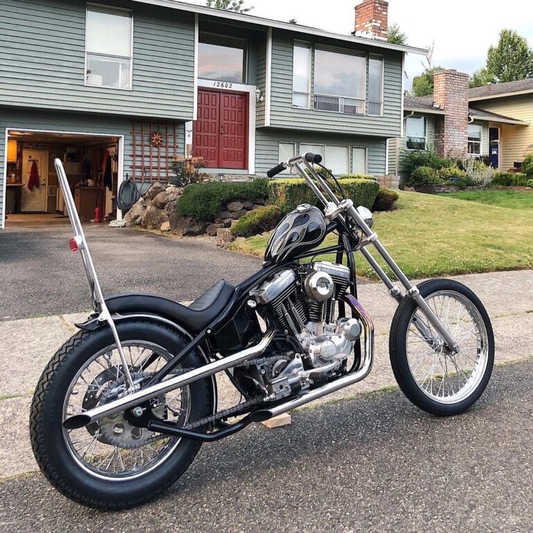 122706277 3187195534725567 8399330092328442754 o 1 768x768