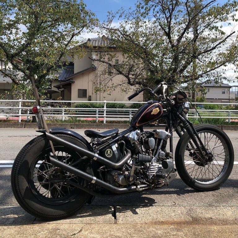 123126503 3202008989910888 3061111466817117864 o 1 768x768