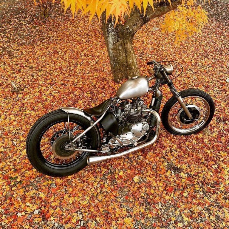 123141314 3203279199783867 3940421682875218192 o 1 768x768