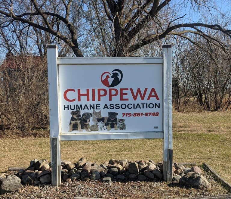 123424835 3583777881678875 8498877958164970851 o 1 768x661