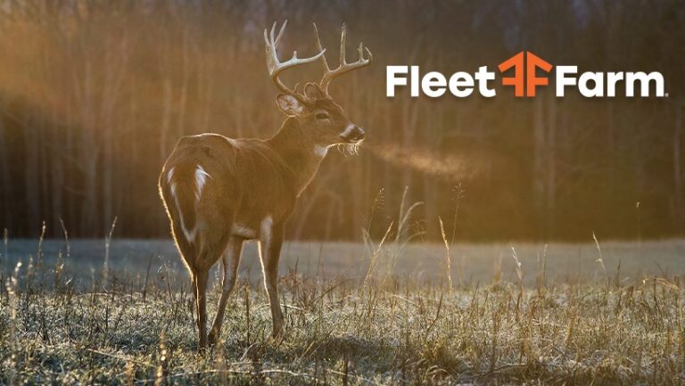 123725198 1418810054991529 5712465619645594976 n 1 768x433