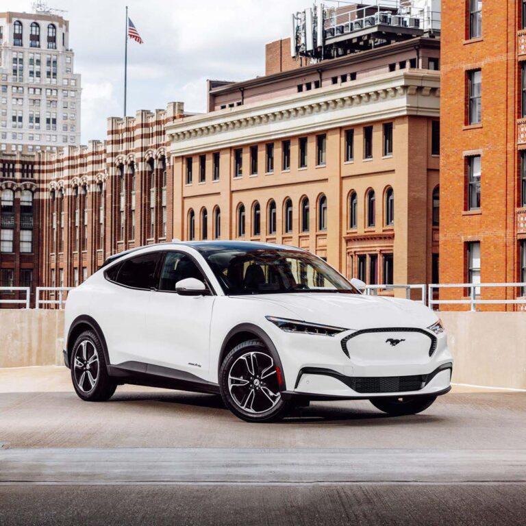 124241179 10158137566828640 4870804908090584048 o 1 768x768