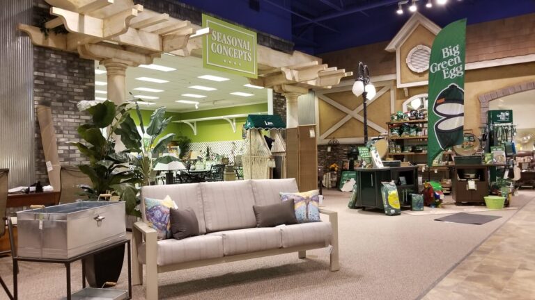 69148357 2439319786115771 3117609991574388736 o 1 768x432