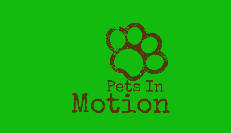pets in motion 768x442