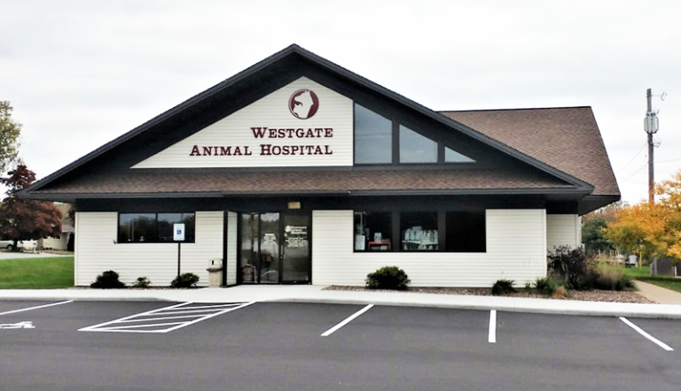 westgate 768x442