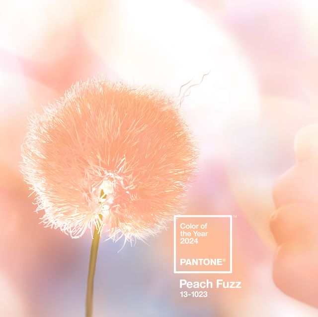 peach-fuzz-pantone-colour-of-the-year-2024-6572f76d996c9